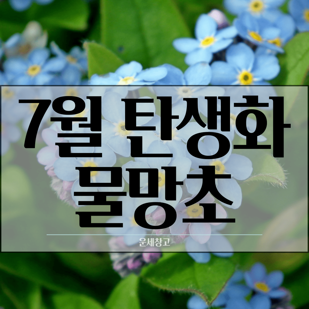 7월 탄생화